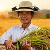 Summer Straw Hat Solar Energy Operated Solar Ventilation Fan Adjustable Solar Fan Drawstring Sports Hat