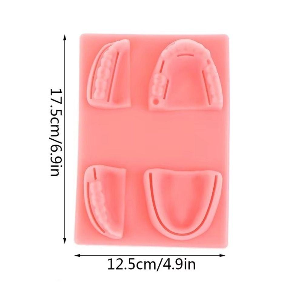 Silikon Zahnlehrmodell 4 Wundtypen Gingivale Naht Trainingsmodell Für Zahnarztunterricht