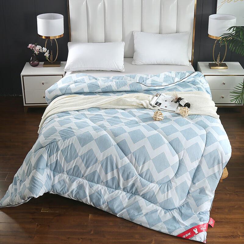 

Bejirog Elegant Warm Core Winter Quilt