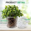 Reinforced Clear Nursery Pots with Drainage Hole Transparent Variety Pack Plastic Plant Pot Seedling Planter Seed Starter Flower