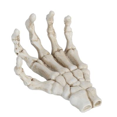 Halloween Skeletthände Hohe Härte Korrosionsbeständigkeit Geringes Gewicht Handknochen-Ornamente für
