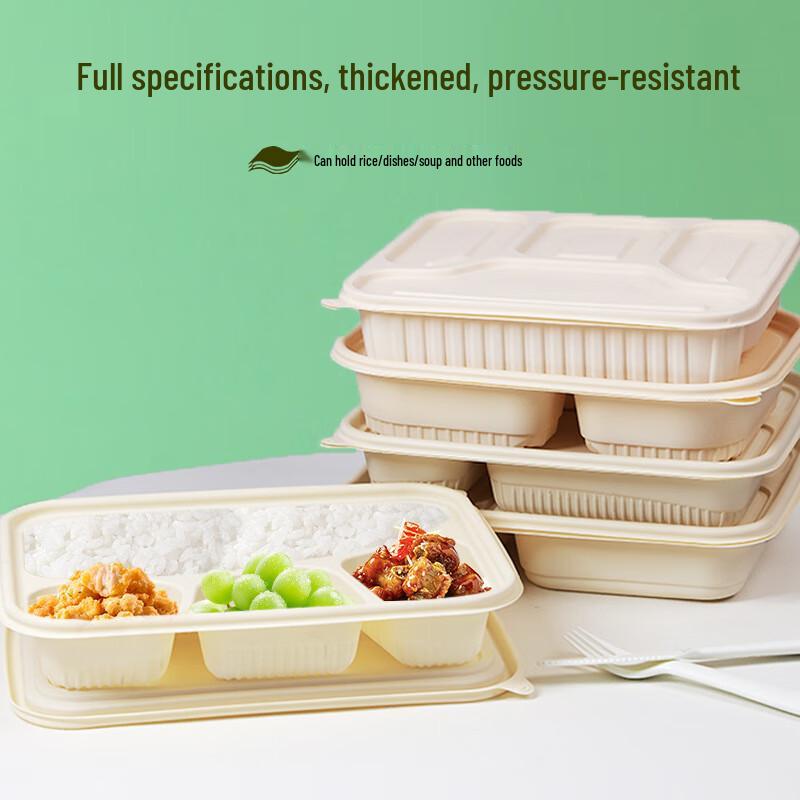 Biodegradable Corn Starch 2-Compartment Takeaway Containers