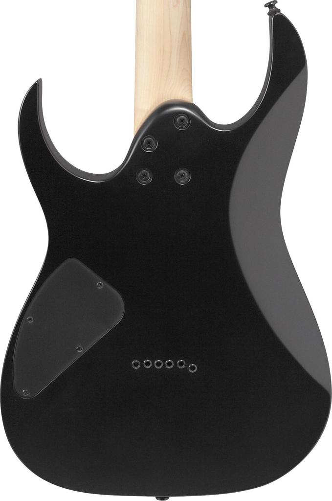 IBANEZ Electric Guitar "Black Flat" RG421EX-BKF