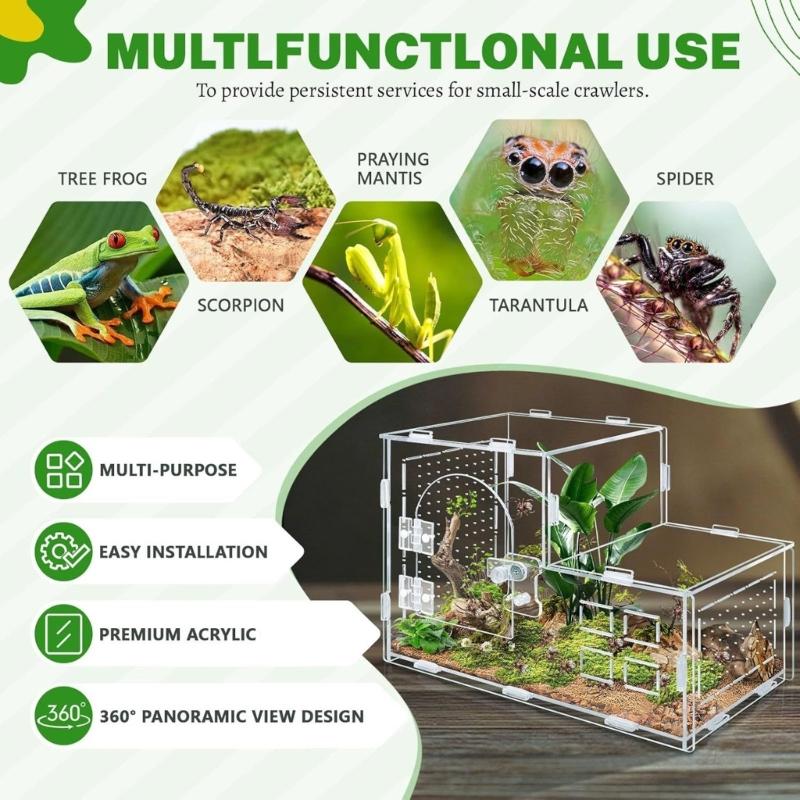 Reptilien Terrarium für Springspinnen Schlange Mit Klarem Beobachtungsdesign Und Sicheren Befestigungen Für Amphibien Lebensräume Box