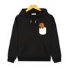 Sweat à capuche mignon Capybara dans la poche, sweat-shirt graphique de dessin animé pour fille, haut à manches longues Y2k Sudadera pour enfants, vêtements pour bébé garçon