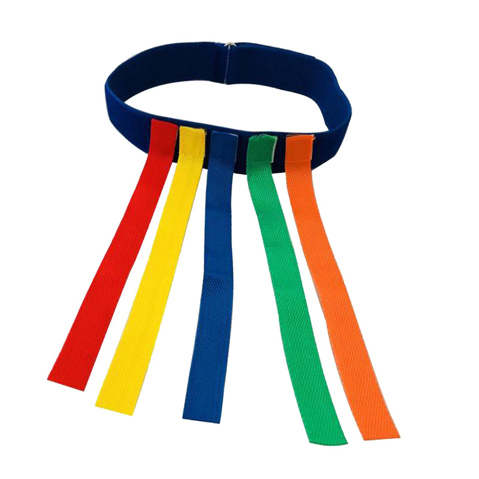 

Игра Поймай хвост Эластичный красочный интерактивный пояс для ловли хвостов Тренировочное оборудование для взрослых, детей, семьи синий