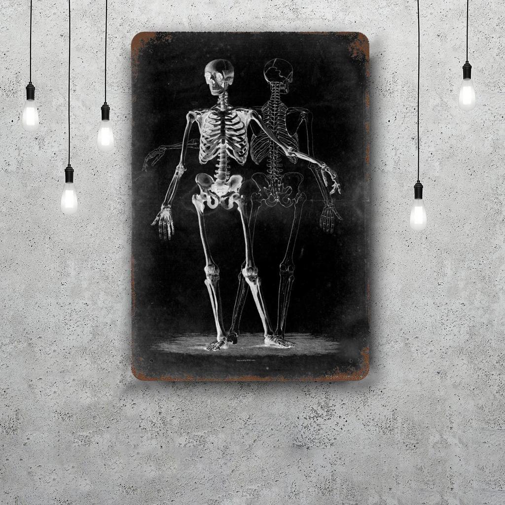 skeleton Vintage Tin Sign Home Decor Wall Decor Art Wall Mural Room Decoration Decor Retro Metal Sign Plate Bar Posters
