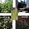 50PCS Fruit Tree Branch Shape Fixator Garden Yard Trees Support Holder Plants Vine Trainers M-Shaped Steel Wire Branch Bending Tools