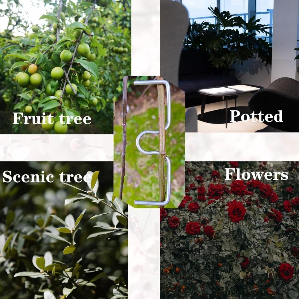 50PCS Fruit Tree Branch Shape Fixator Garden Yard Trees Support Holder Plants Vine Trainers M-Shaped Steel Wire Branch Bending Tools