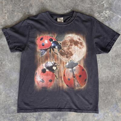Ladybug Moon T-Shirt, Vintage Full Moon Insect Cottagecore Top