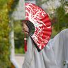 Traditional Chinese Style Hanfu Fan, Ancient Style Folding Fan for Men, Student New Chinese Style Portable Ancient Costume Fan, Summer