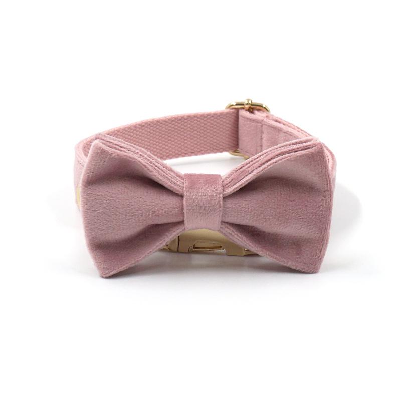 Mihaha Boss Champagne Pink Velvet Pet Collar & Bowtie Set with Gold Buckle and Engraving Option Extra Large