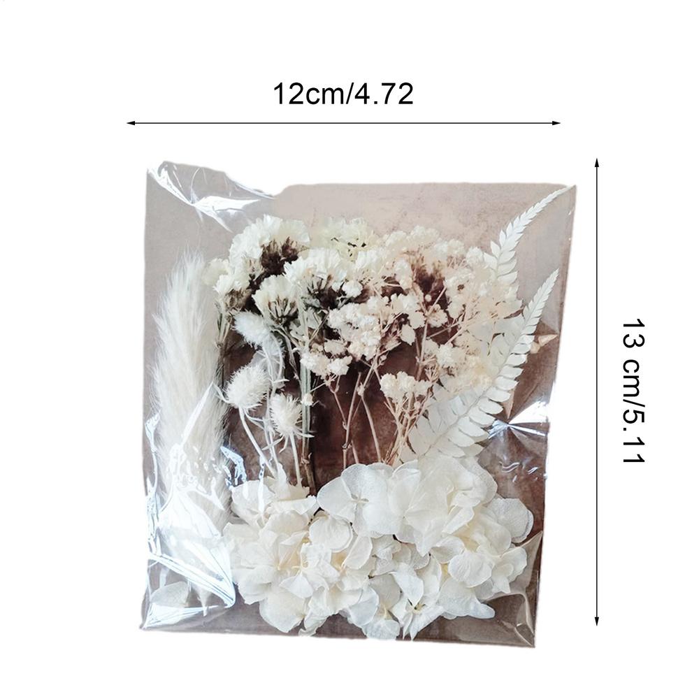 Natural Plants Dried StarrySky Flowers Preserved Materials Kit Epoxy Resin Candles Soap DIY Floral Materials Set Dried Flowers