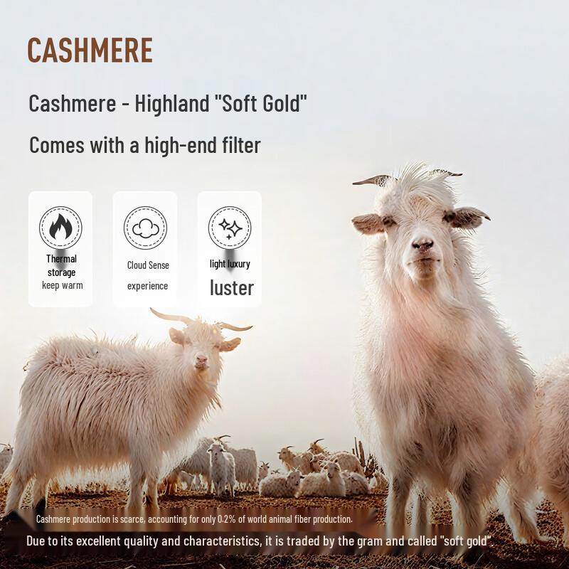 MONTAGUT Men's Wool-Cashmere Blend Henley Pullover Sweater