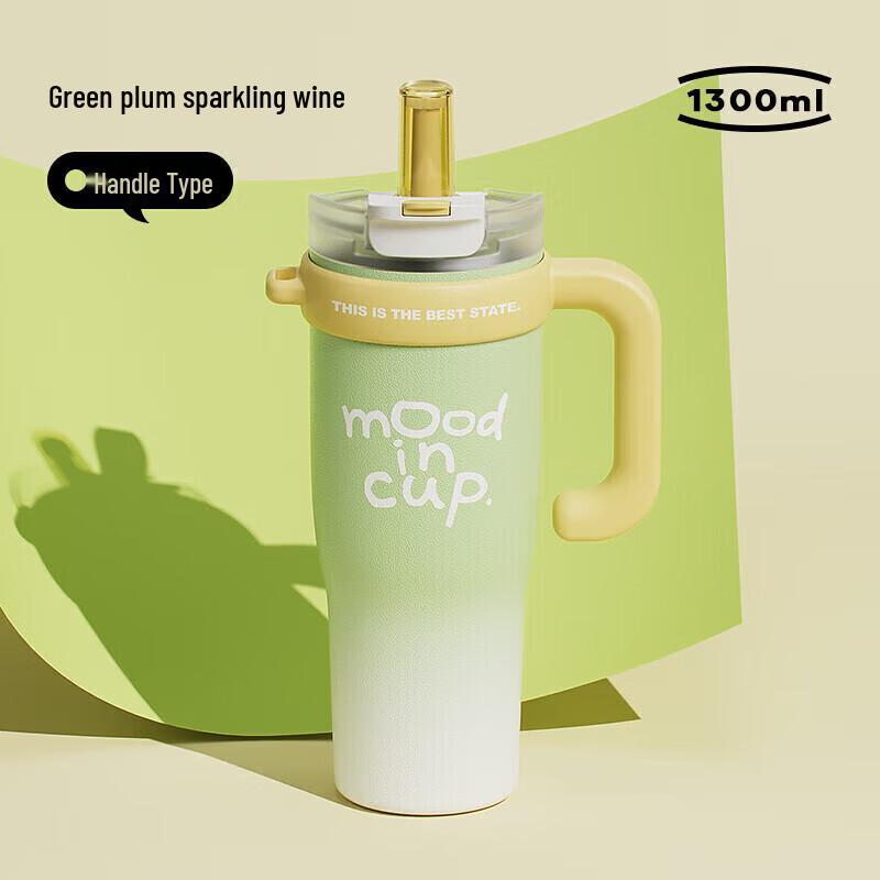 RELEA Dali Water Guard Insulated Straw Cup