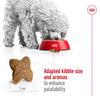 Royal Canin SHN Mini Adult Dog 8Kg