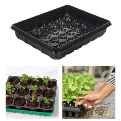 Premium Indoor-Garten Starter Set