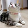 Pet Collar Printing Anti-suffocation Safe Buckle Breakaway Pet Cats Dogs Collars with Bell Pet Accessories