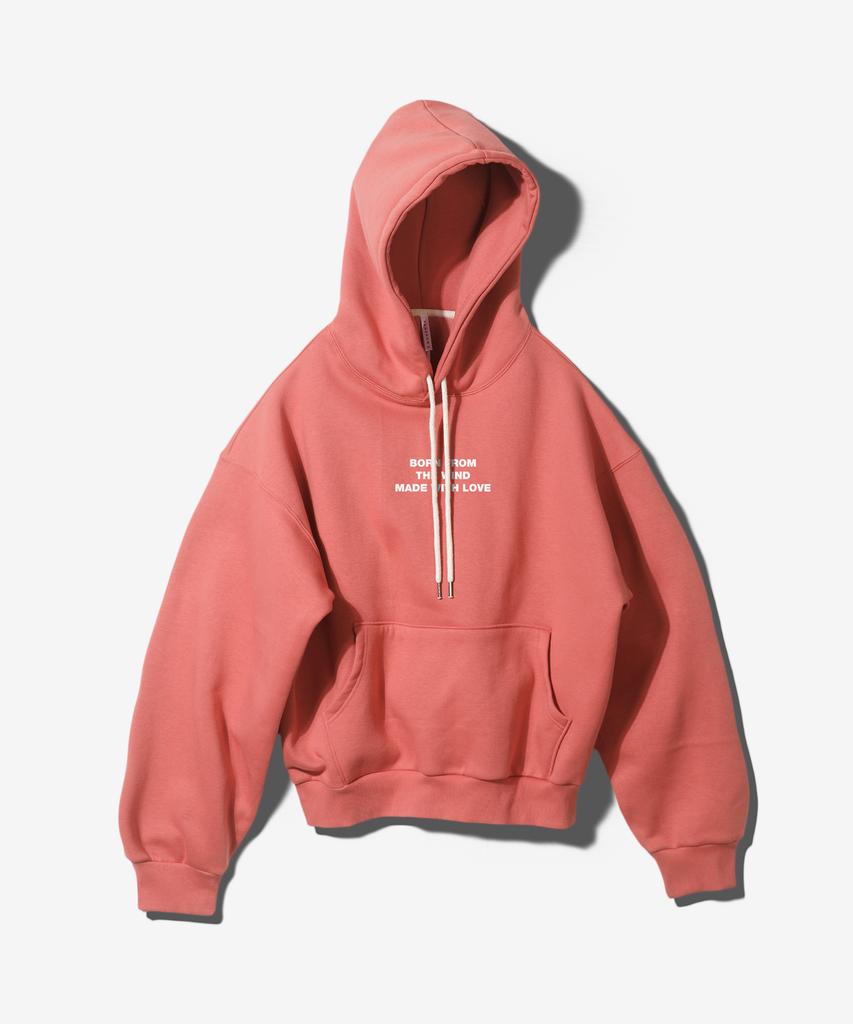 (Setup) Mwl Hoodie Snap Pants – Red