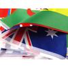 Xvggdg  48pcs   2026 Football Cup Flag 14x21cm  Small World Flag Hanging Flag NEW Cup Countries Flag for Bar Bunting Decoration