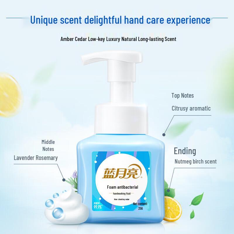 Blue Moon Foam Antibacterial Hand Soap
