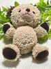 [USED] Sun Arrow Bear Plush Toy Teddy Bear
