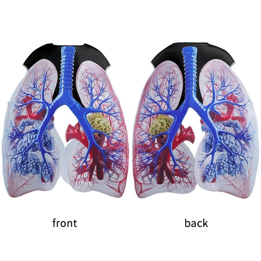 Realistic Heart Design Cosplay Costume Creativity Printed Jumpsuit Halloween Kids Costume  Party