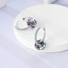 Hoop Earrings 925 Silver Starlight Crystal Circular Snake Bone Hoop Earrings For Women Fashion Birthday Jewelry Gift
