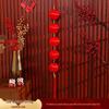 2026 Spring Festival Ornaments: Lucky Bag & Double Fish Pendant with Red Lanterns