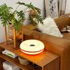 Table Lamp USB Plug Bedroom Bedside Lamp Living Room Dining Room New Year's Decoration Donut Ambient Light