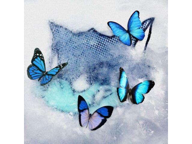 

[CD+DVD] Frozen Butterfly Nomal Edition WOLF HOWL HARMONY RZCD-77925 J-Pop NEW