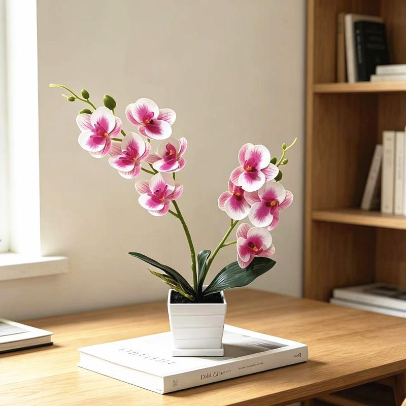 Decorative Butterfly Orchid Indoor Planter With Plastic Material For Home Decor And Photography Props