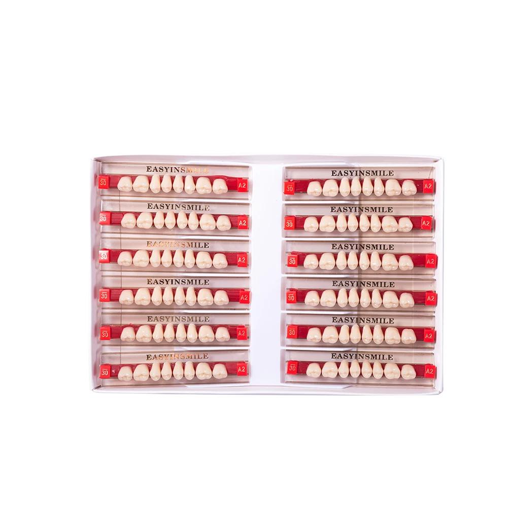 16/12 Sätze/Karton Zahnprothese Zähne Oberkiefer Frontzähne Unterkiefer Seitenzähne Dentier Synthetisches Polymerzähne Zahnmedizinische Ausbildungsmodell