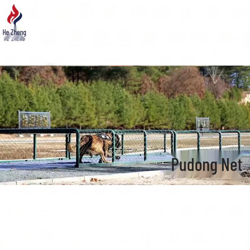 Hezheng Professional Dog Training Supplies