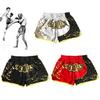 Unisex Muay Thai Shorts Ice Silk Bedrukt Borduurwerk Elastische Taille Boksen Gevecht Kickboksen Worstelen Training Workout Gym Shorts