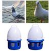 2/6/8L Pigeon Waterer Hanging Pigeon Feeder Cage Accessories Bird Water Dispenser  Pigeons