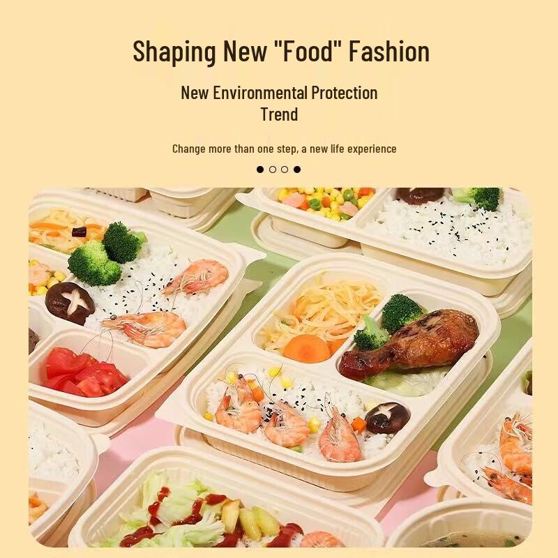 Lijia 1250ML Biodegradable 5-Compartment Lunch Box