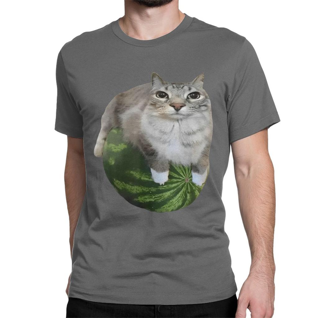 Watermelon Cat Silly T Shirt for Men Women 100 Cotton TShirt Round Collar Funny Meme Tee Shirt Short Sleeve Clothes Plus Size