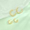 S925 Sterling Silver Twisted Hoop Earrings for Women - Fashionable Retro Design with a Niche High-End Appeal