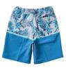 Quiksilver Floral Volley Youth 16 Boys' Board Shorts BLQ6