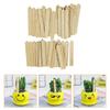 Amosfun Gardening Name Plates for Flower Pot Vertical Wood 50 Gardening Decoration Flower Easy To X 2 Cm Labels, Succulents, Tags, Wooden, Small,