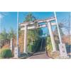 Kenko Soft Filter Nostal Tone Blue 72mm - Soft Effect & Color Enhancement - Creates an Anime Scene-like Look - Made In Japan - 006665