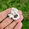 Gift For Women Statement Adjustable Ring 925 Silver Natural Turritella Agate