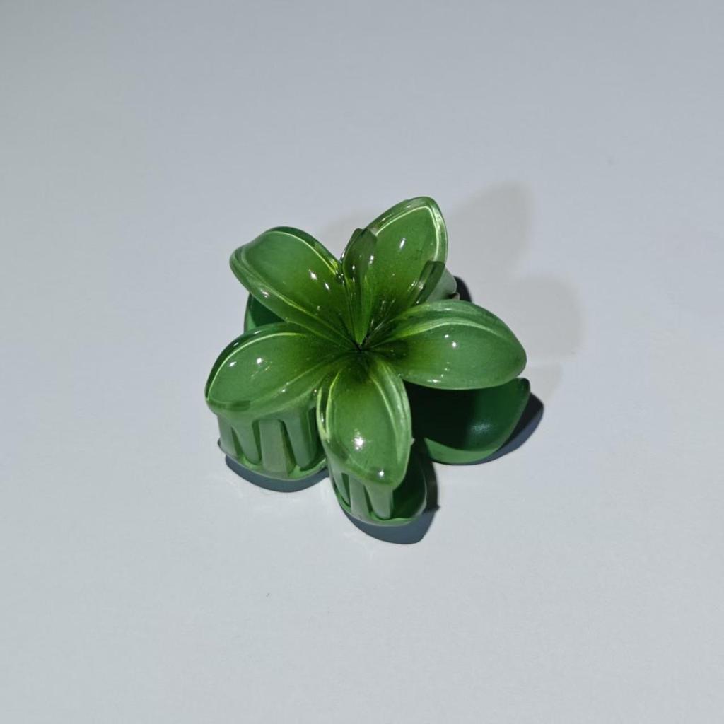 Vintage Damen Mehrfarbige Frangipani Fee Haarspange