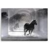 Canvas Print, Running Horse 3D