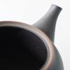 Tokoname-yaki Gyokumitsu Kiln Teapot with Ceramesh Ceramic Tea Strainer (Large Capacity, Approx. 480ml) - Black Kiln-Change Finish with Striped