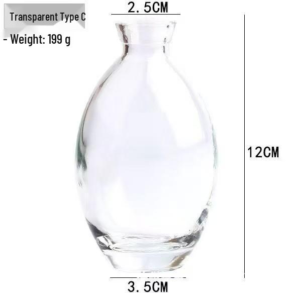 Lux Mini Colored Glass Vase Set for Hydroponic Flowers - Transparent Decorative Ornaments for Living Room