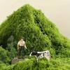 Artificial Moss Landscape Bionic Lawn False Moss Micro Landscape Layout Lawn Bonsai Pottery Paving Landscape Outdoor Indoor