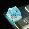 Quality Resin Crafted Keycaps,Enhances Durability &Touch Sensation OEM Keycap For MX Mechanical Keyboards Enthusiasts