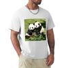 Giant Pandas Mei Xiang And Bei Bei At The National Zoo Tshirt Light Athletic Short Sleeve Tee Shirt
